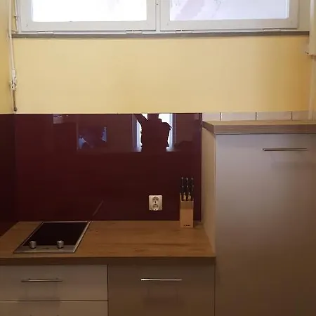 公寓 Old Leonardo 扎达尔